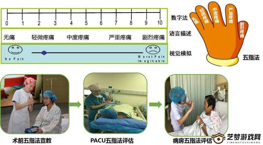 疼痛之轮 WHEELOFPAIN：探索其背后的深刻含义与影响